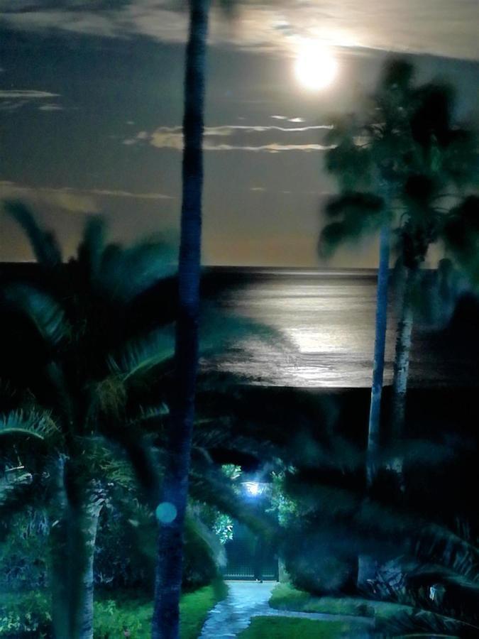 Mirando Al Mar