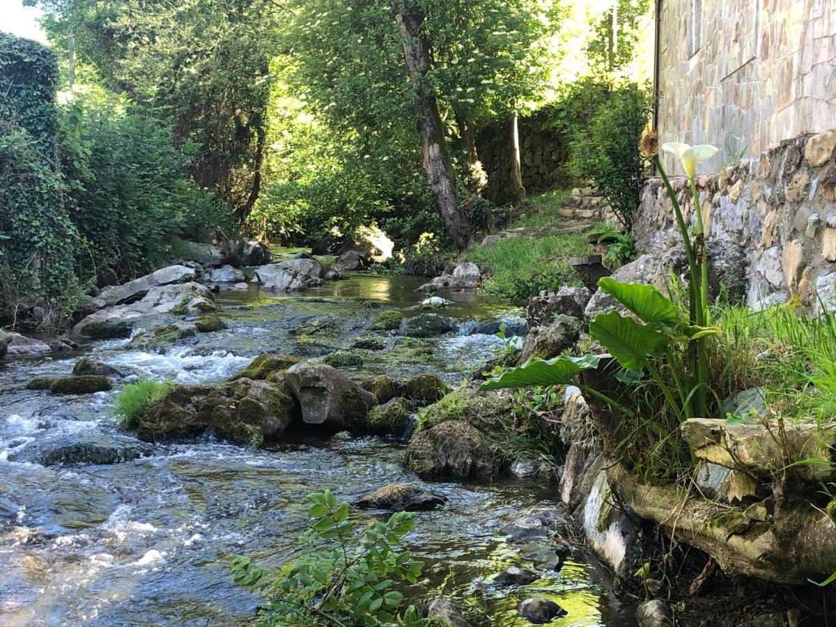 Palatina * Bolgues