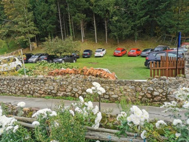 Hostel Palatina *