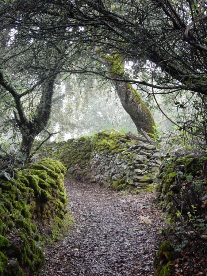 Casa De Piedras Сasa de vacaciones Cortelazor