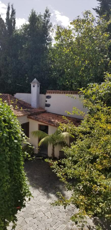 La Casita De La Vega Apartment