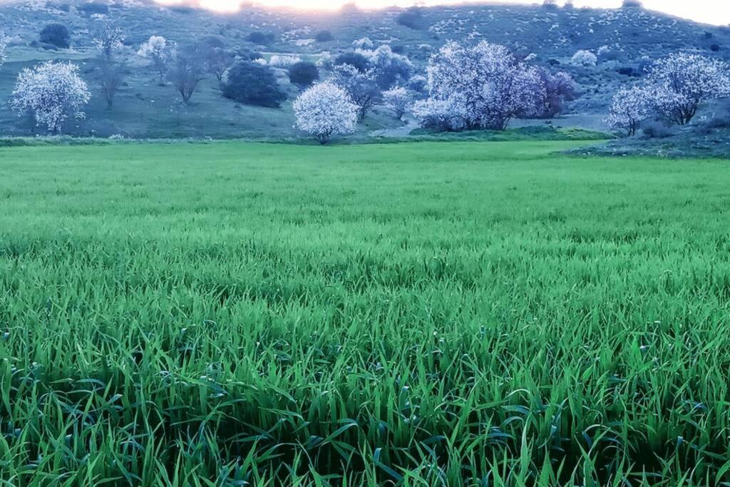 Сasa de vacaciones CABAÑA Rancho Aguadulce Villarejo de Salvanés