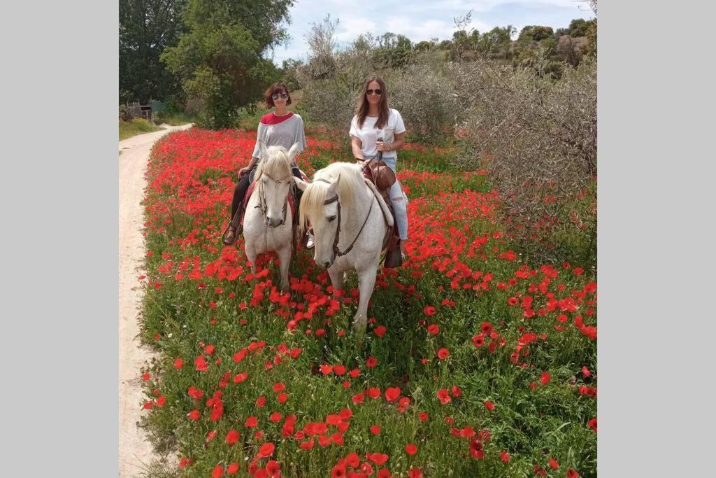 CABAÑA Rancho Aguadulce Сasa de vacaciones Villarejo de Salvanés