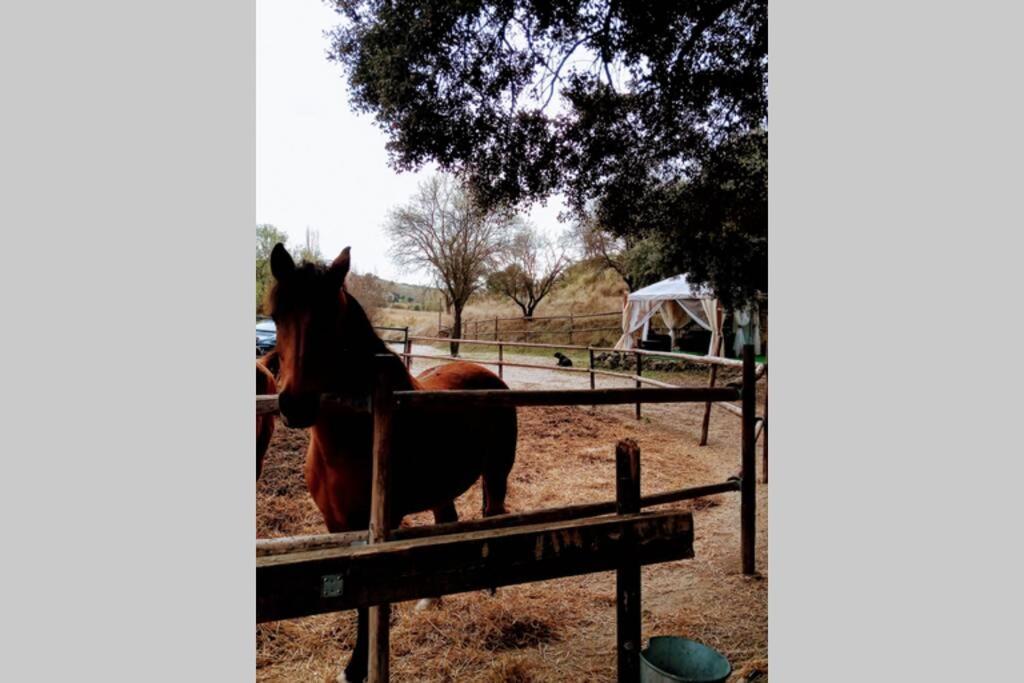 CABAÑA Rancho Aguadulce Villarejo de Salvanés