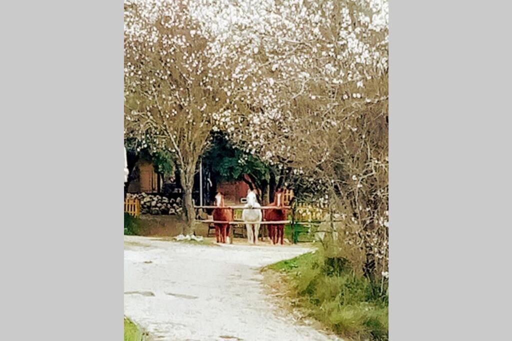 Сasa de vacaciones CABAÑA Rancho Aguadulce *