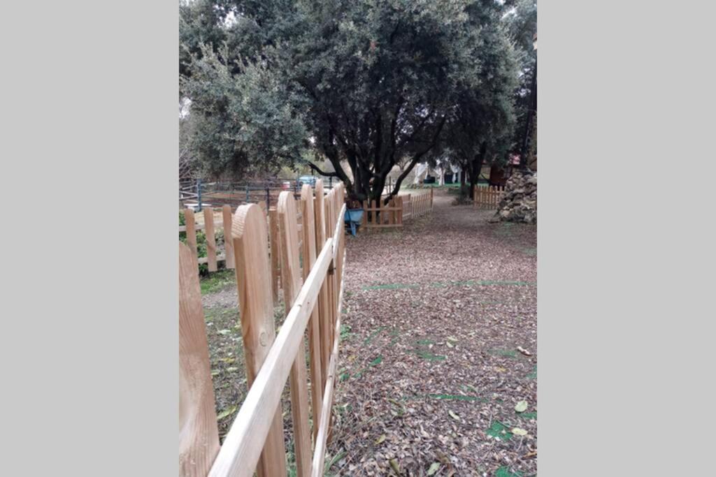 Сasa de vacaciones CABAÑA Rancho Aguadulce *