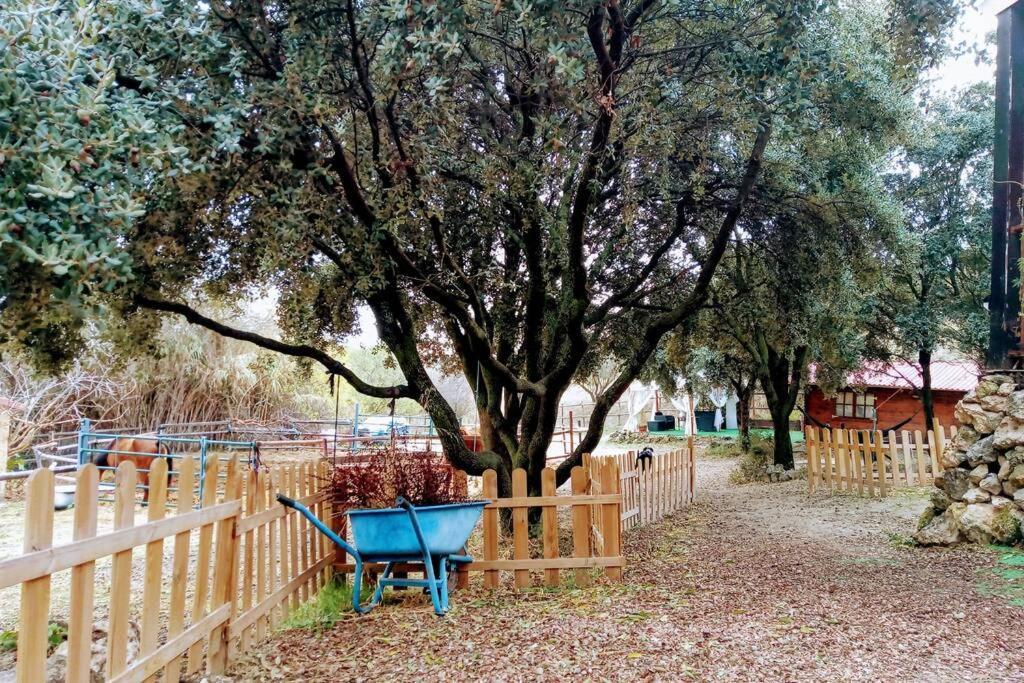 CABAÑA Rancho Aguadulce