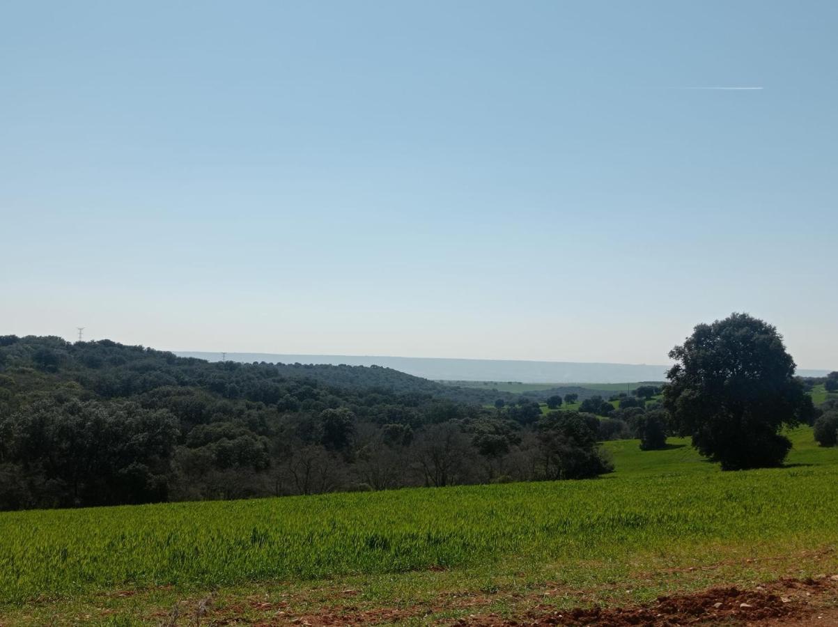 El Sitio De Pepe