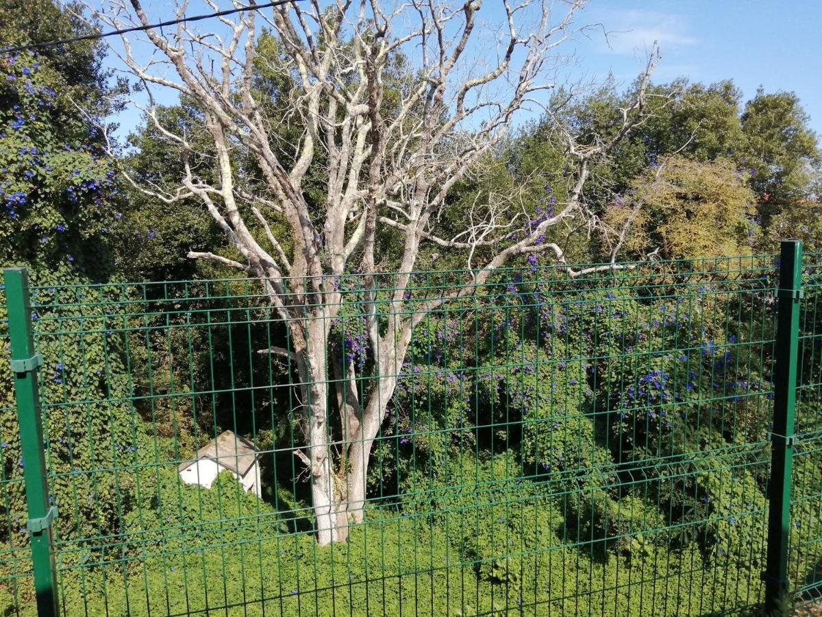 La Casa Roja Asturias Holiday home Hontoria