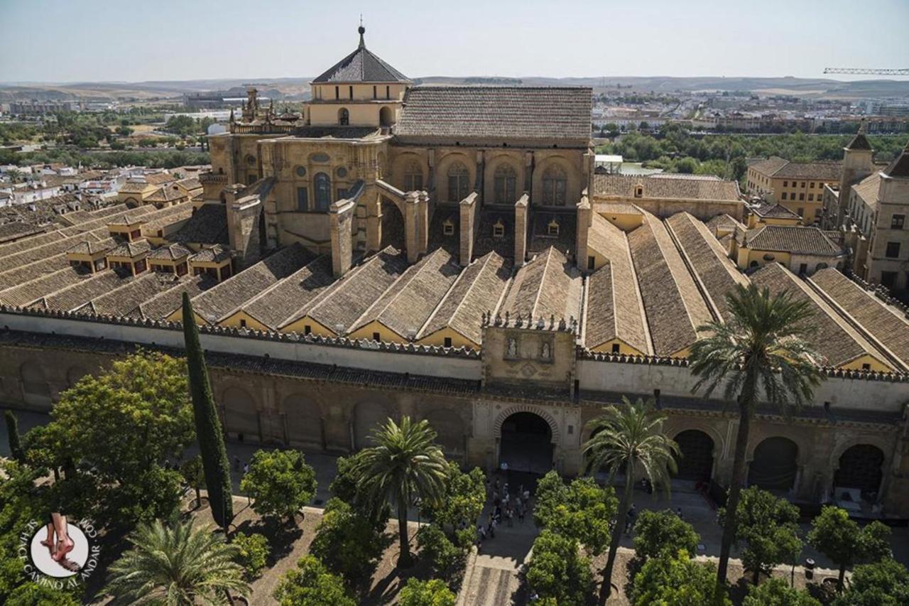 Panorama Center D * Cordoba