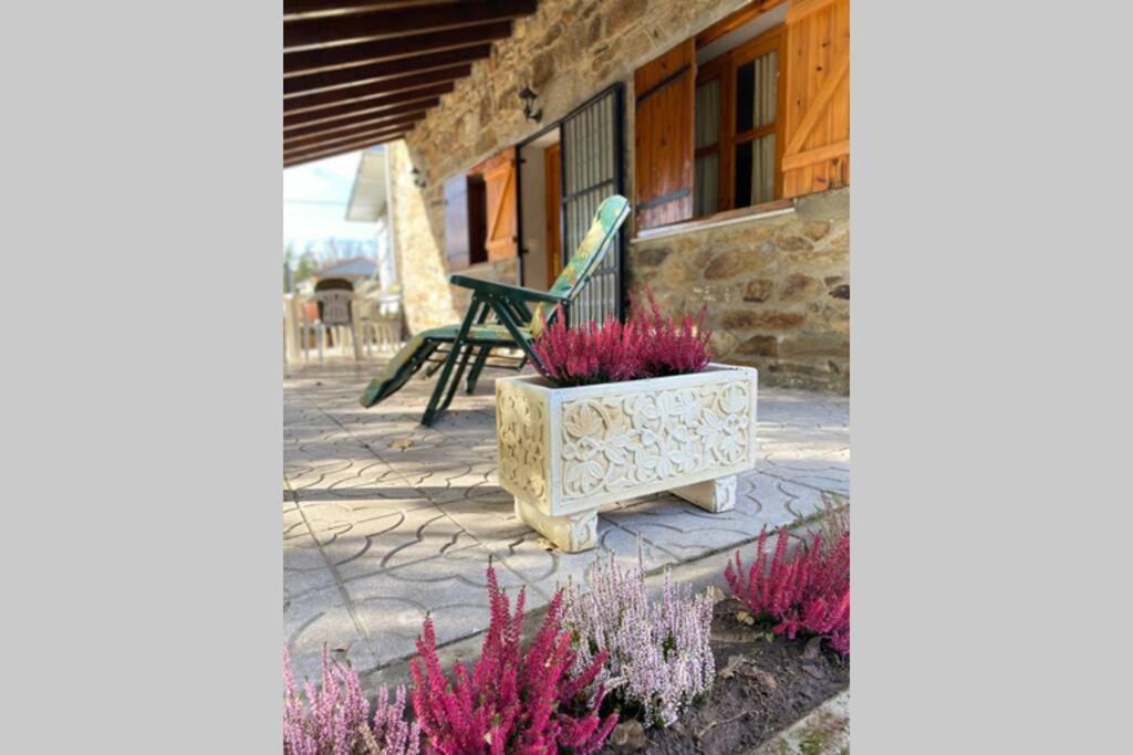 Casa Rural: Marías Сasa de vacaciones Sampil