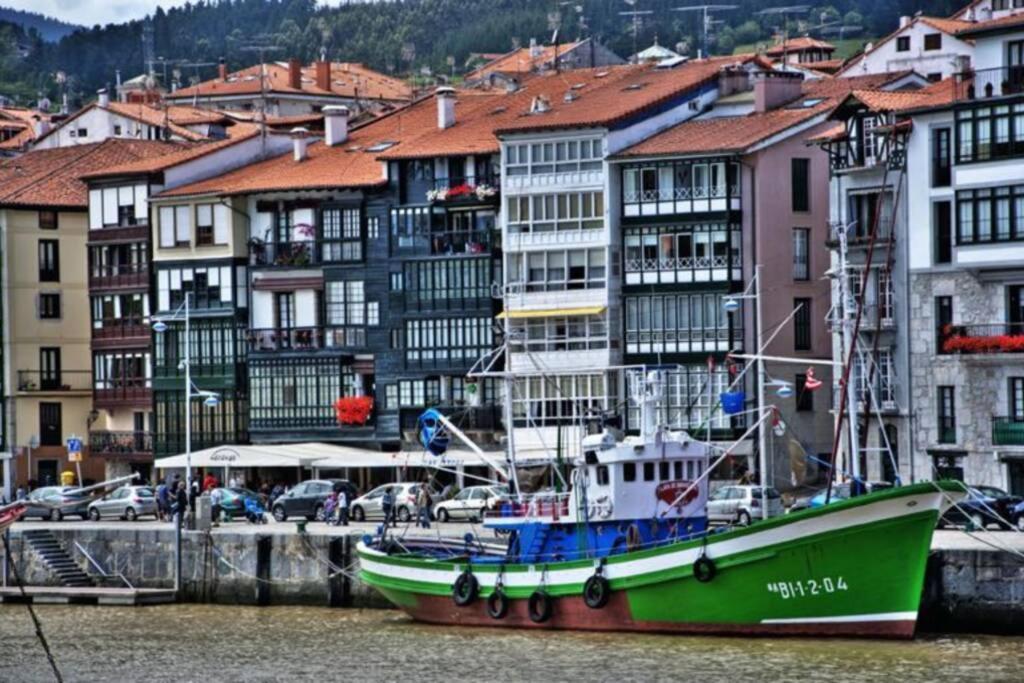 Piso Céntrico Y Tranquilo En Gernika Apartamento *