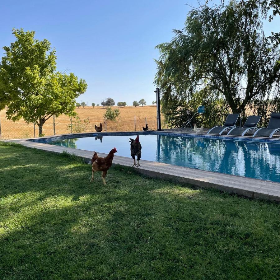 Manantiales Country house Alcaraz