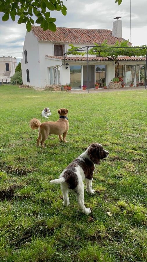 Country house Manantiales *