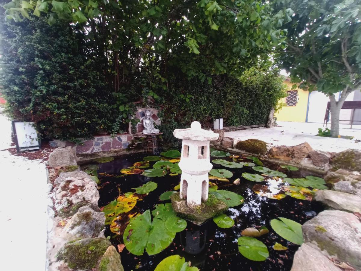 Casa Llano43 & Montana
