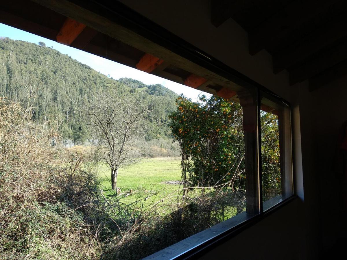 Сasa de vacaciones En Asturias A Orillas Del Río Narcea Puerta De Somiedo Barcena