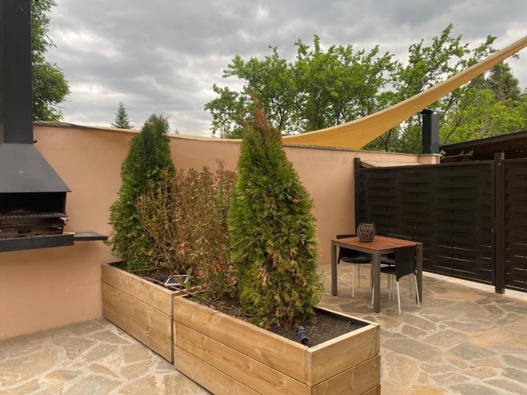 Loft Cal Pedrals Apartamento