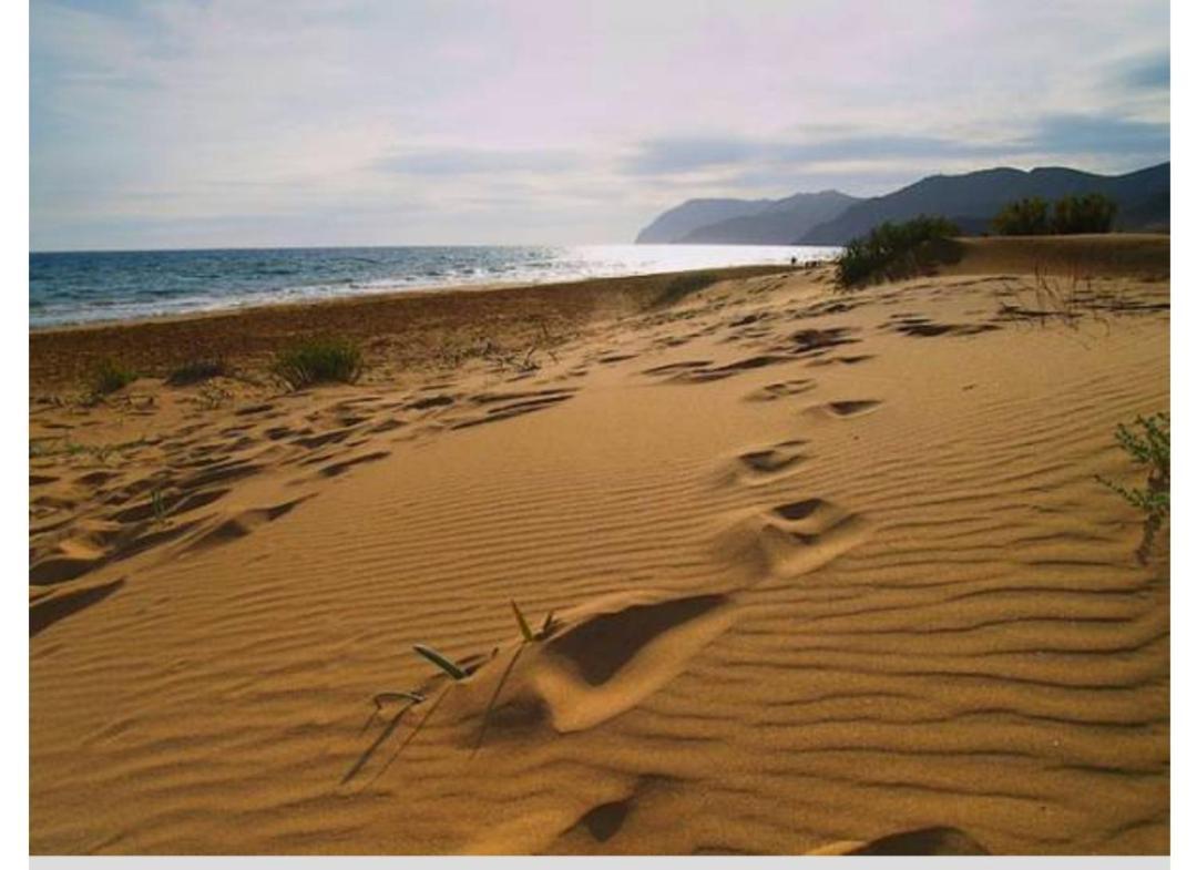 Vivir La Victoria. Lodge
