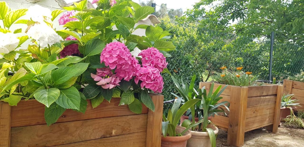 Sa Cova De Mallorca Holiday home Sencelles