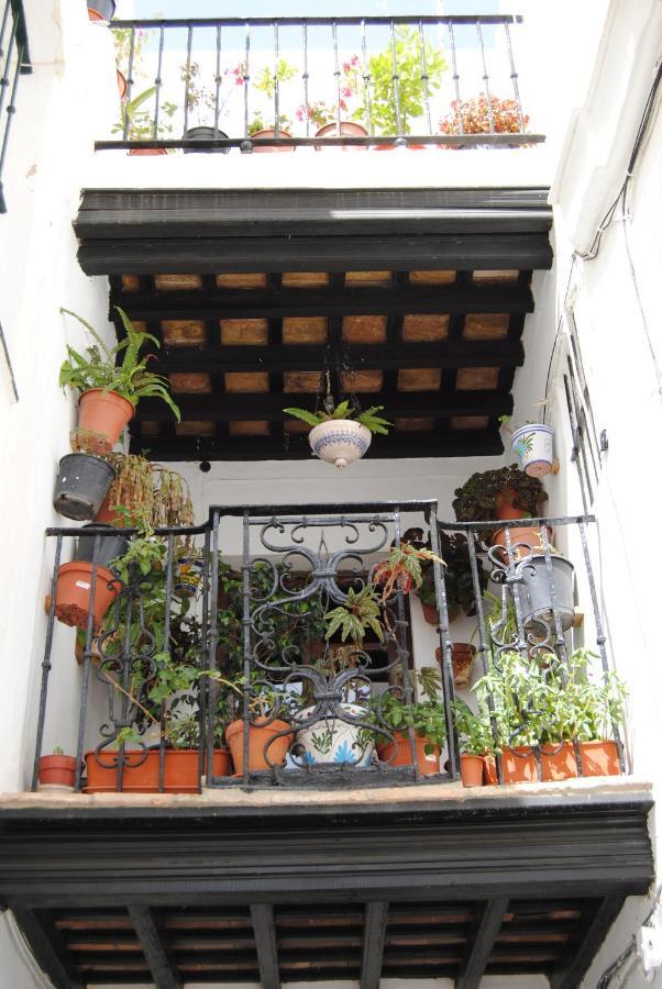 Casa Michele In The Historic Center