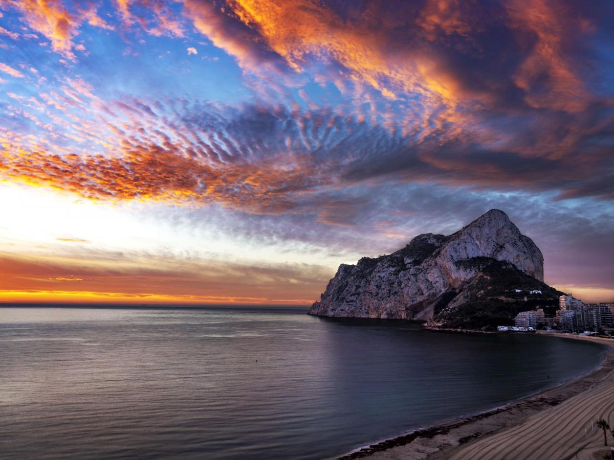 Hipocampos Rent Calpe