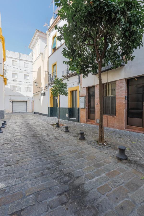 Apartamento San Diego Catedral *