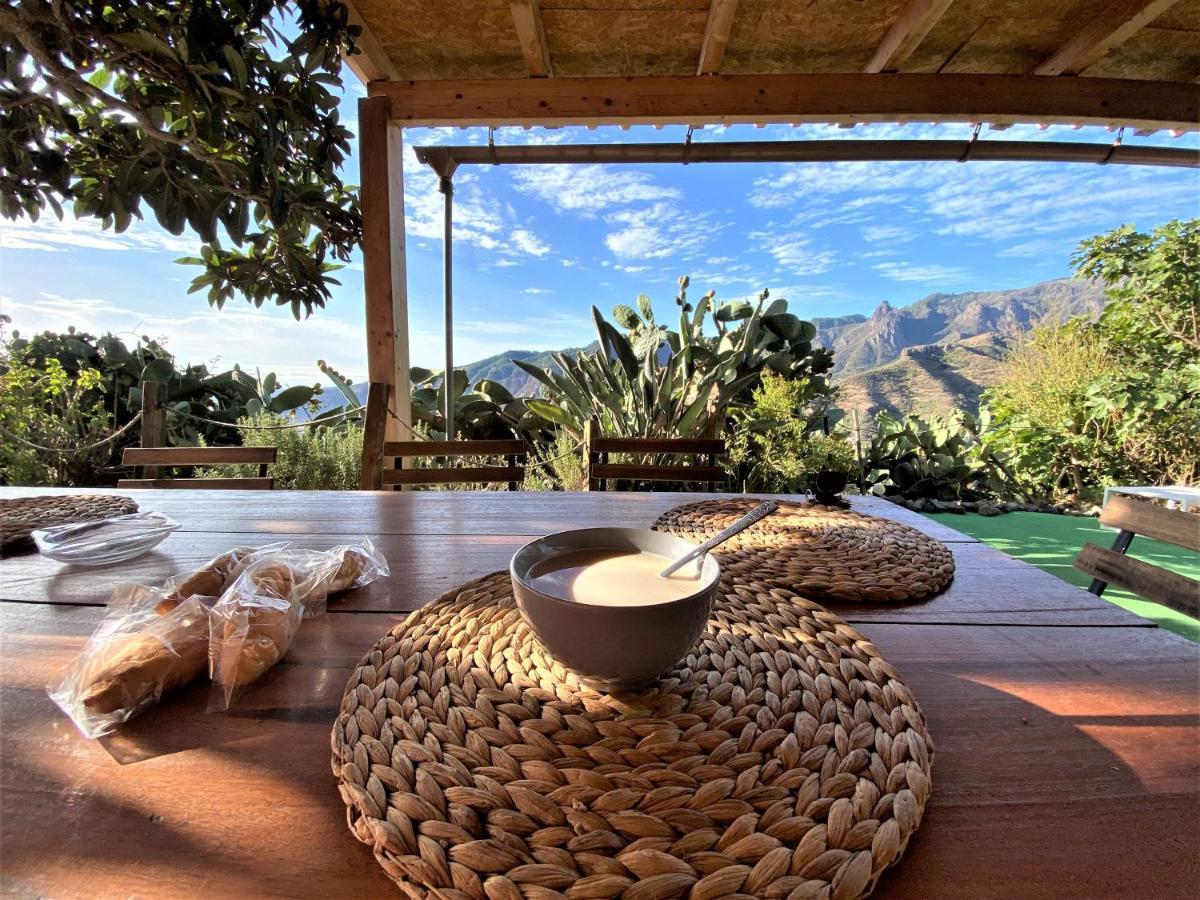 Viuter Rural Cave House El Refugio De Miguel Holiday home Vega de San Mateo