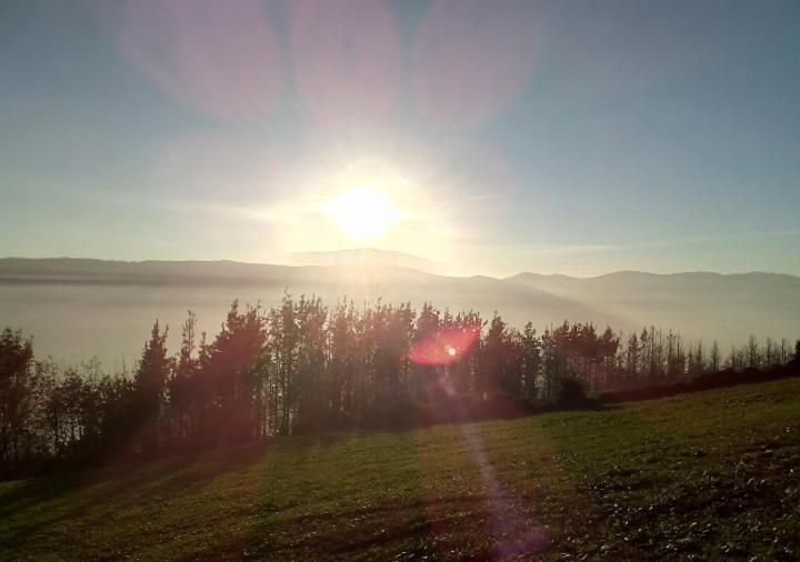 Pasiega Unica Selaya