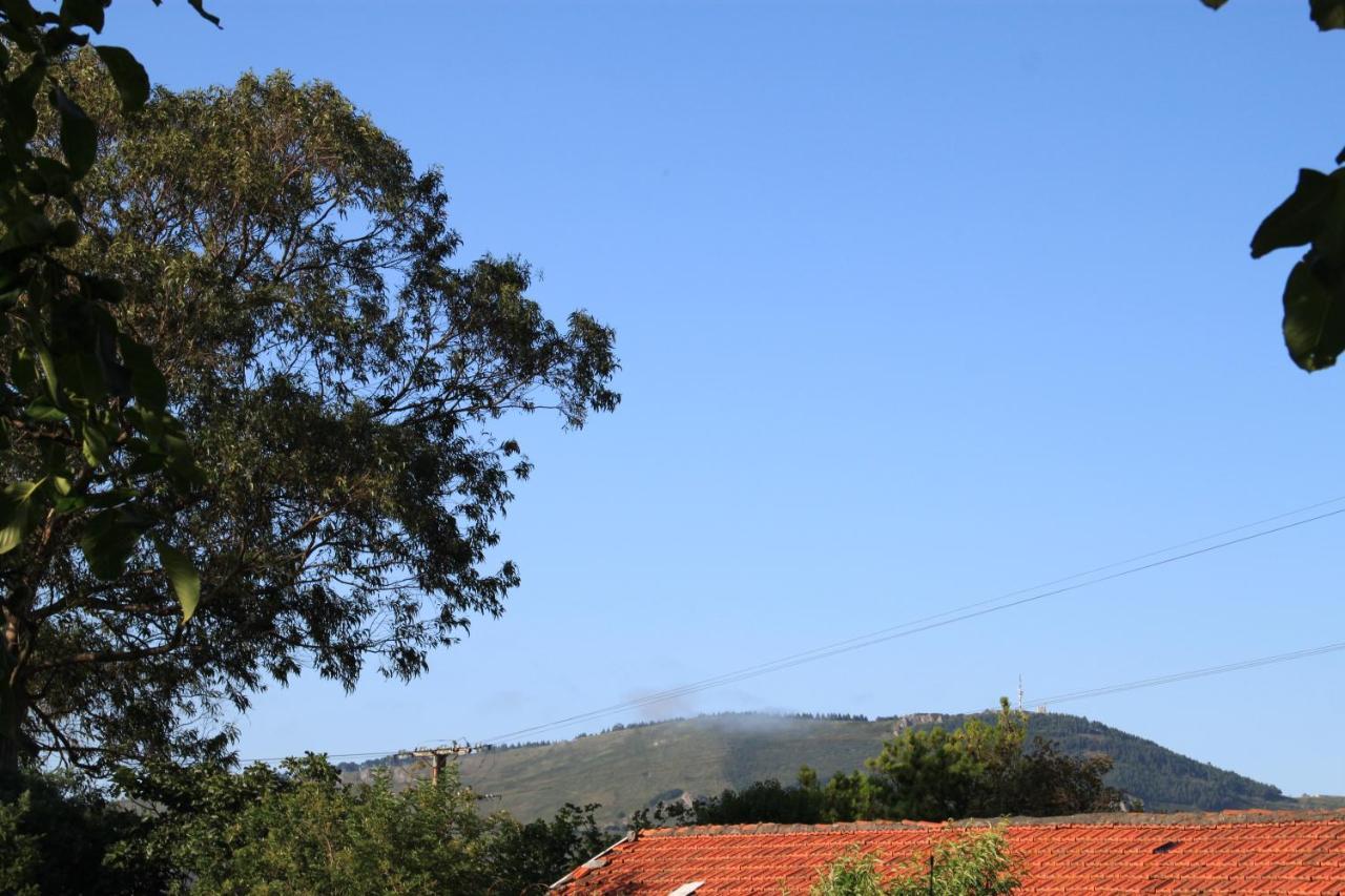 Apartment Rural Zuri *