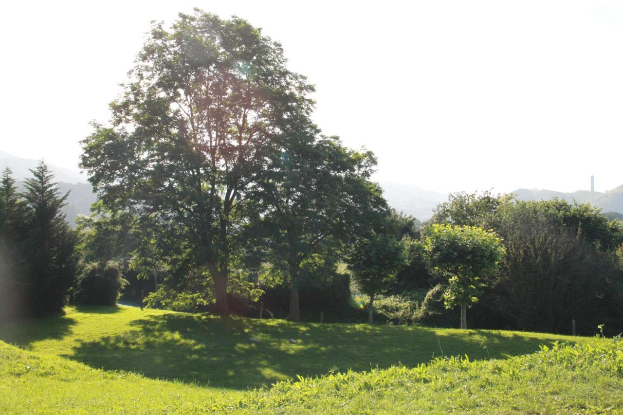 Rural Zuri