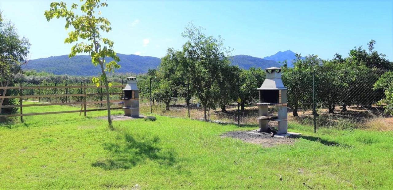 Camping La Naranja *
