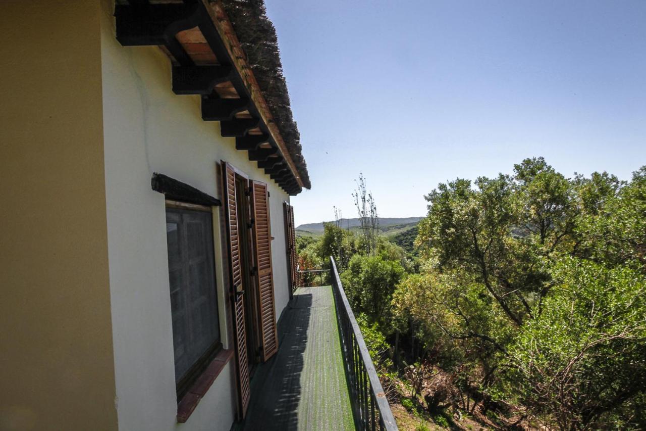 Cortijo Las Limas - Garden
