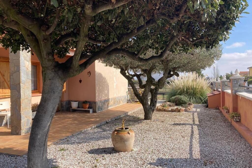 Vino Que Del Cielo Vino. Alt Penedès Сasa de vacaciones *