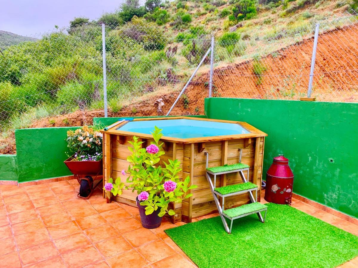 El Olival 2 Holiday home *