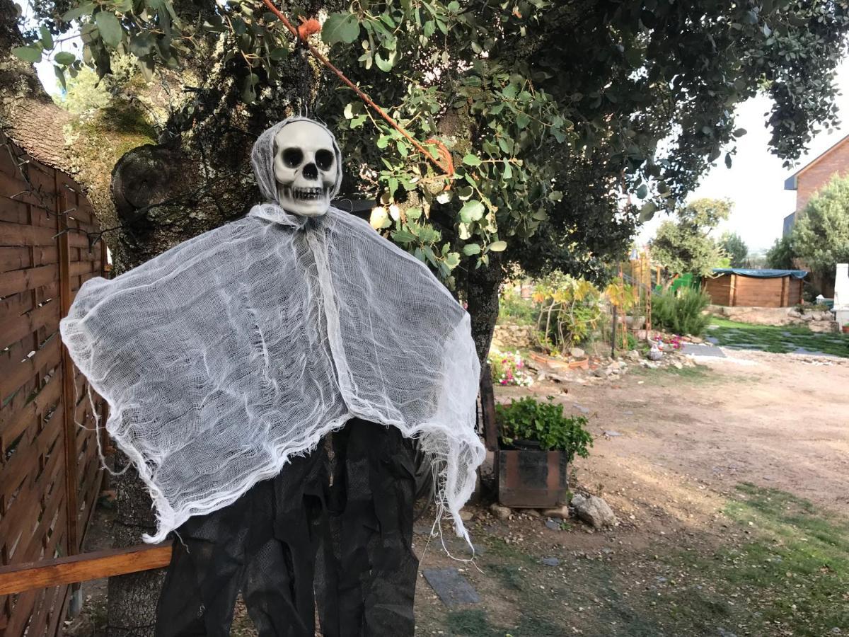 En La Naturaleza