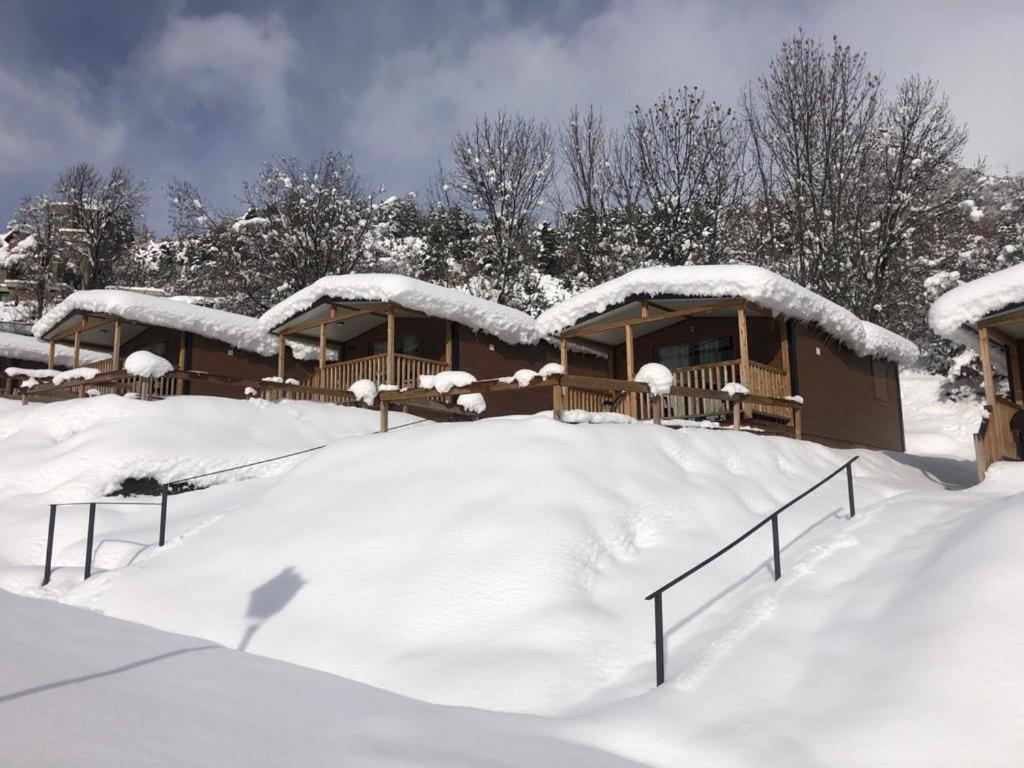 Campsite Panticosa Lodge *