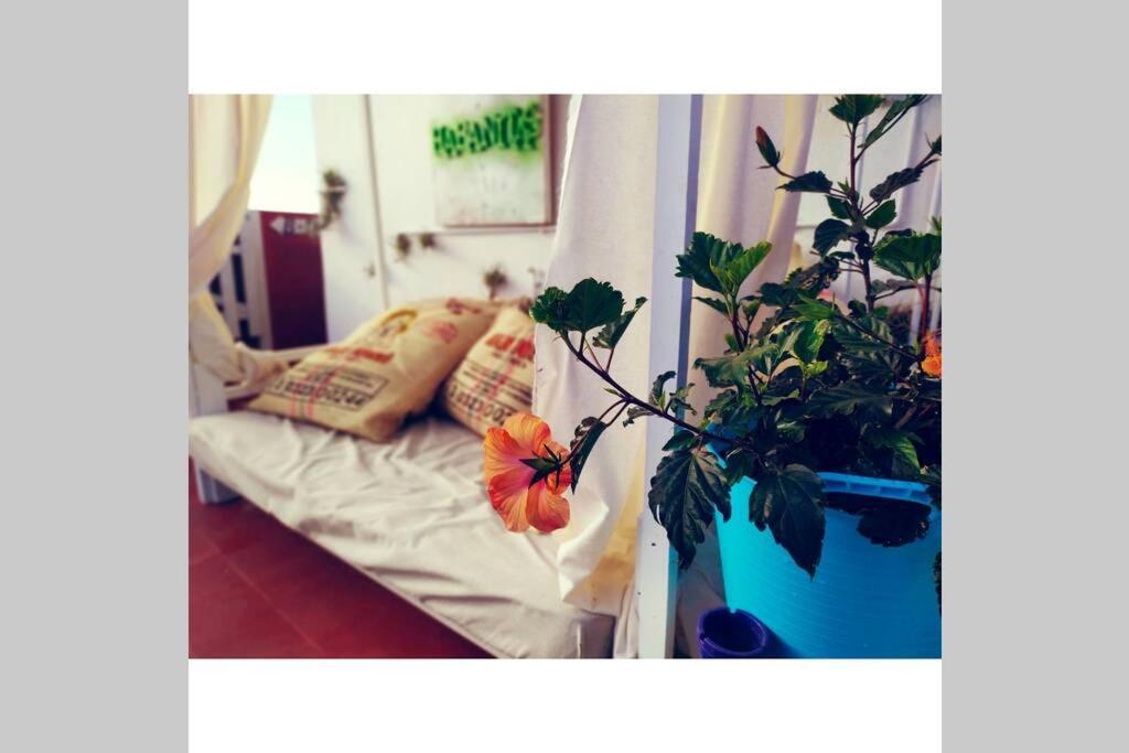 Habanitas Apartment