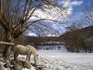 Sno Edelweiss Hotel 3*