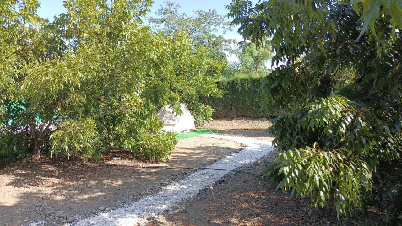 Jardin De Karlitos Campo de lujo *