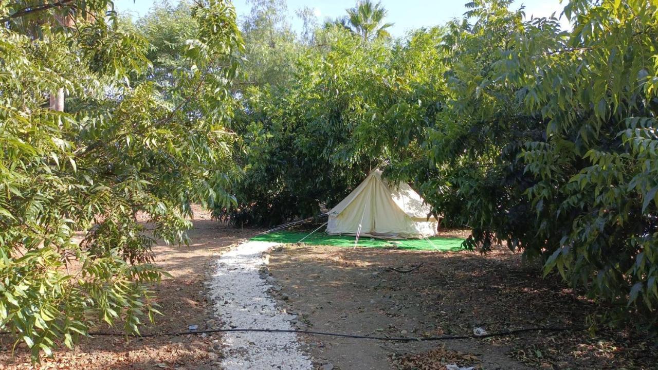 Jardin De Karlitos *