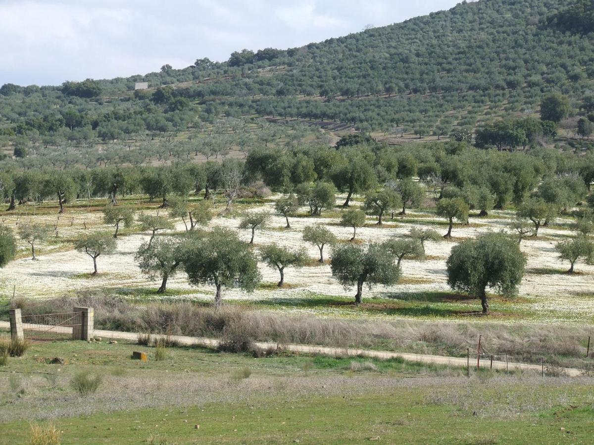 La Tierra Verde Casita * Alcuescar