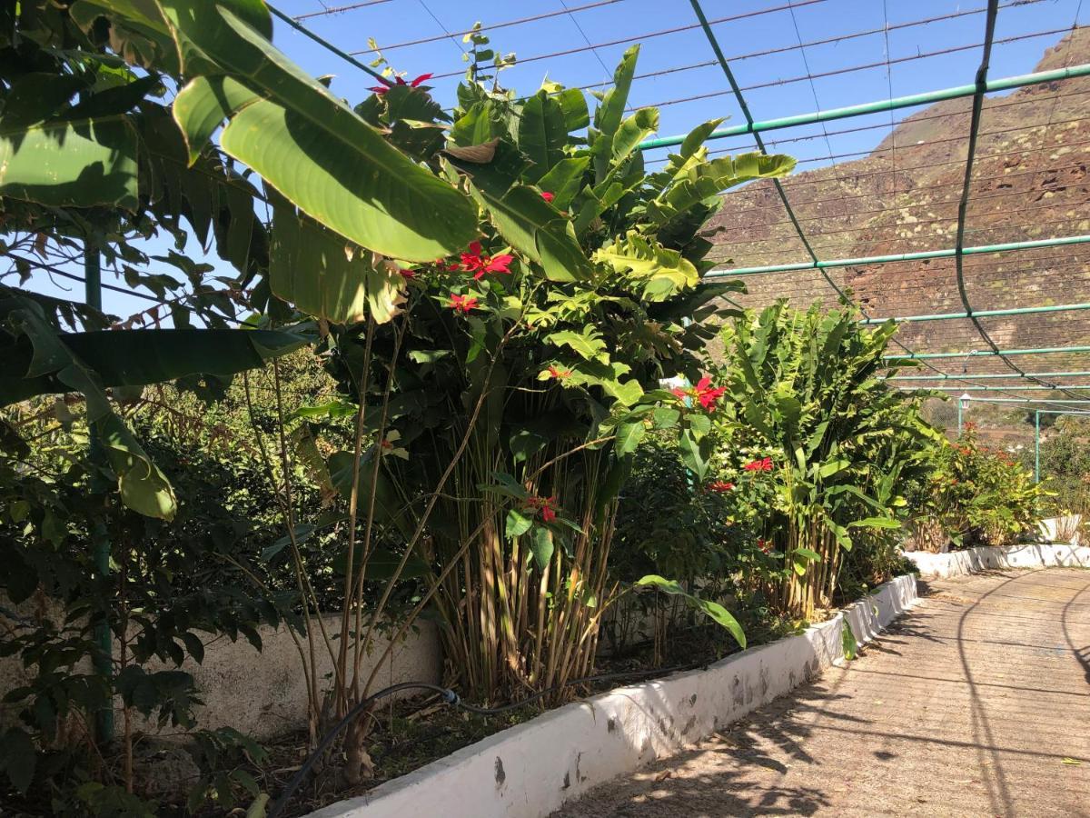 Apartamento Casa Camino Tamadaba Agaete (Gran Canaria)