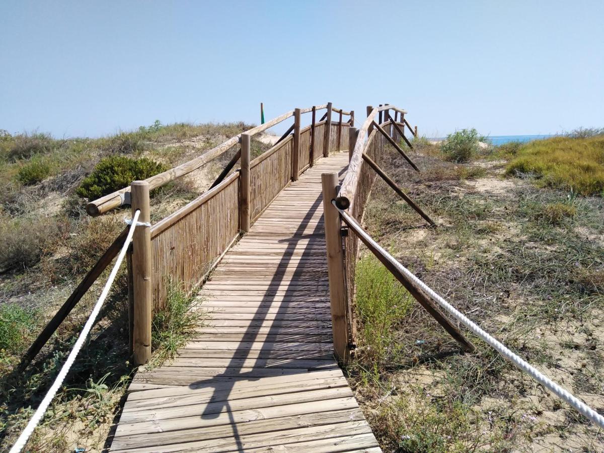 Paraiso * Daimus