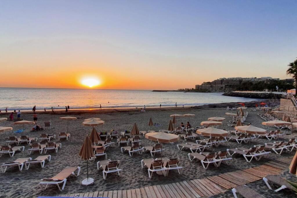 Apartamento With Amazing Views And Terrace Garden, Fast Fiber Wifi *
