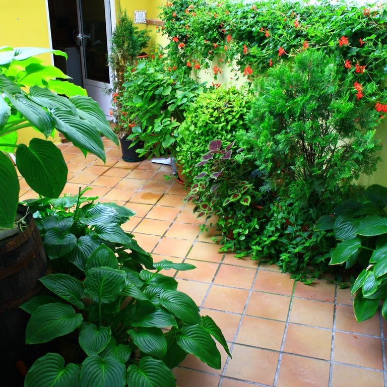 Guest house Escartin Sabinanigo