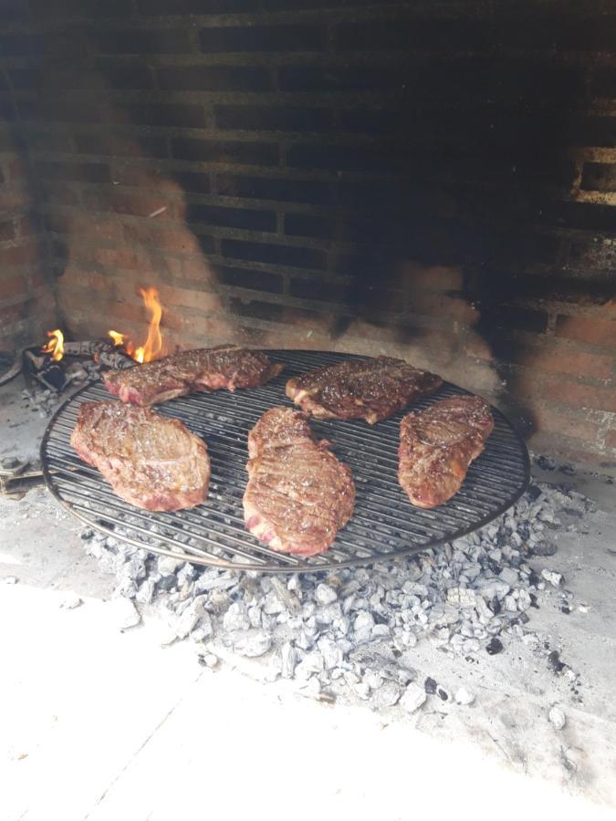 El Olivo * Tordesillas