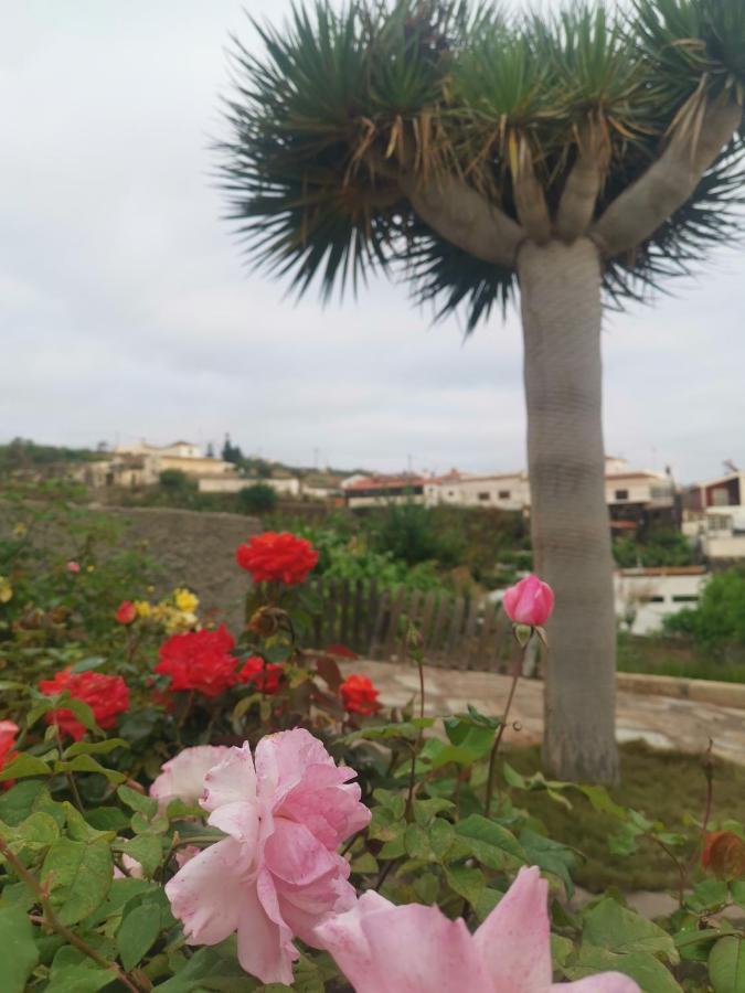 Dolores Con Piscina Y Vistas A La Gomera Сasa de vacaciones