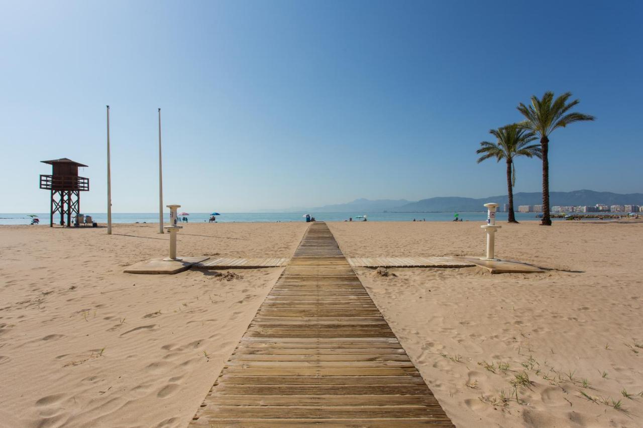 Olivos Ii - Cullera
