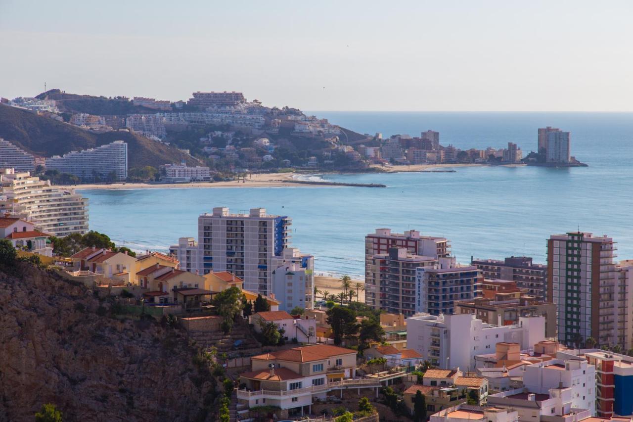 Olivos Ii - Cullera
