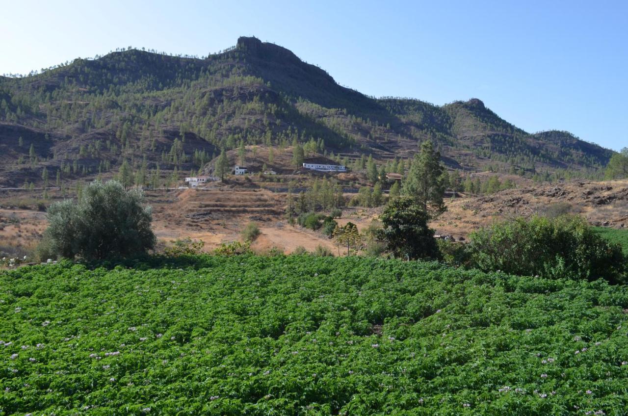 Casa De Diego Y Mela * San Bartolome de Tirajana (Gran Canaria)